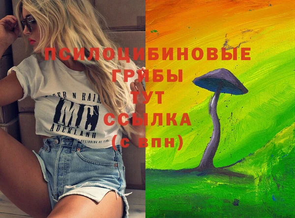 героин Богородицк