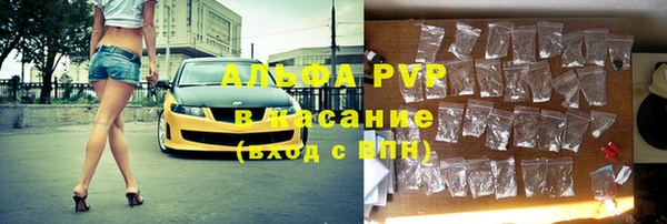 спиды Богданович