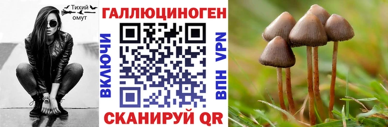 Галлюциногенные грибы мицелий  Моршанск 